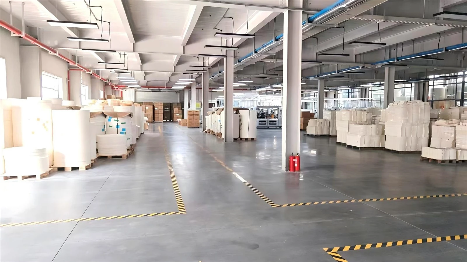 Custom Paper Cup Factory Custom Paper Cup Factory
